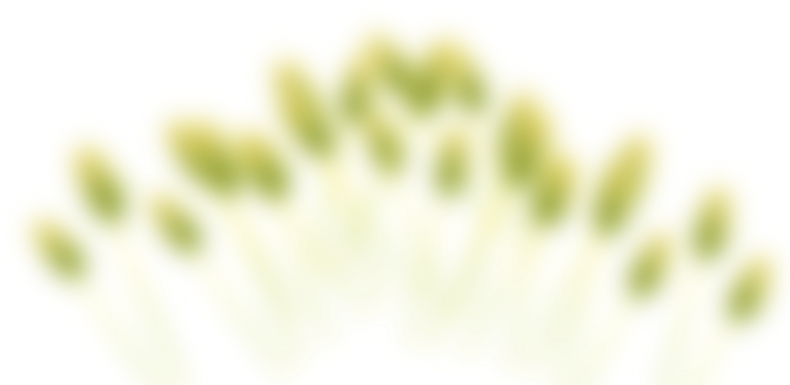 Bulk SMS Service